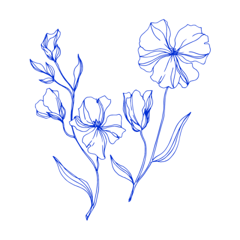 Transparent flower png