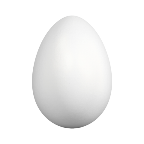 White egg png