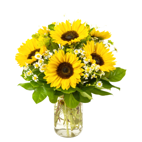 Sunflower bouquet png