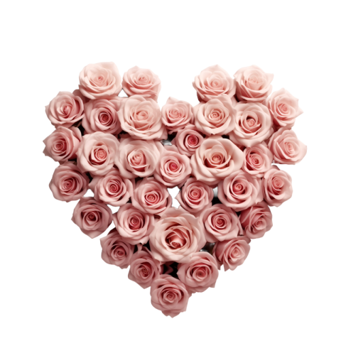 Pink rose heart png