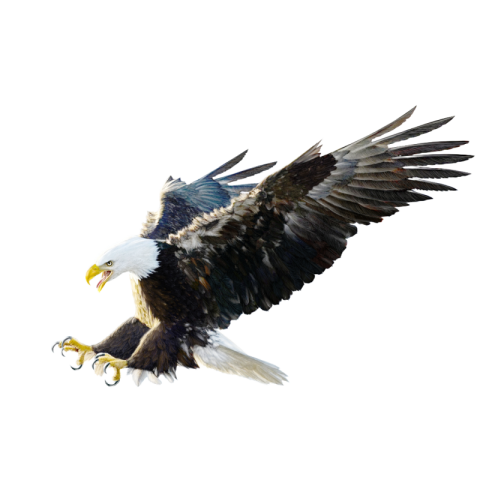 Eagle png background