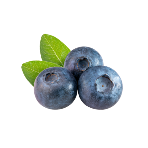 Blueberry png images hd