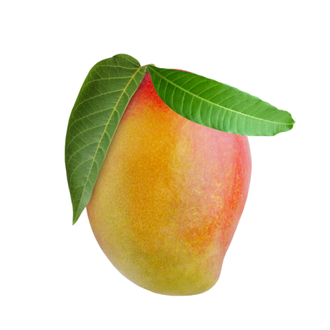 Mango png download