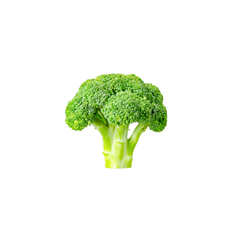 Broccoli png image