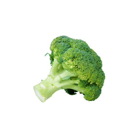 Broccoli transparent png