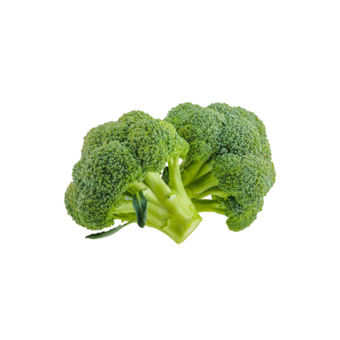 Broccoli png free