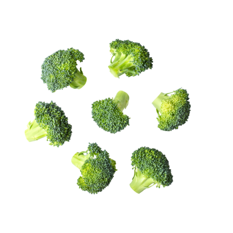 Broccoli PNG transparent