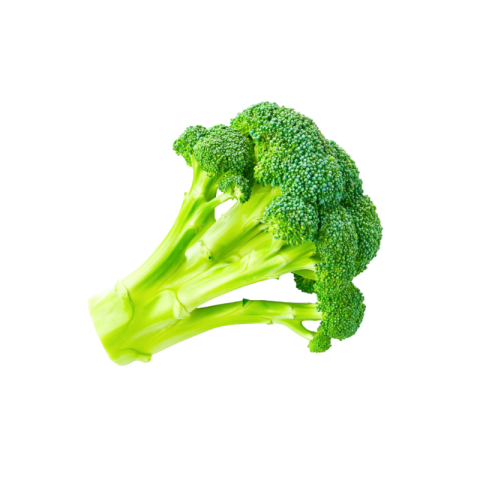 Broccoli png background