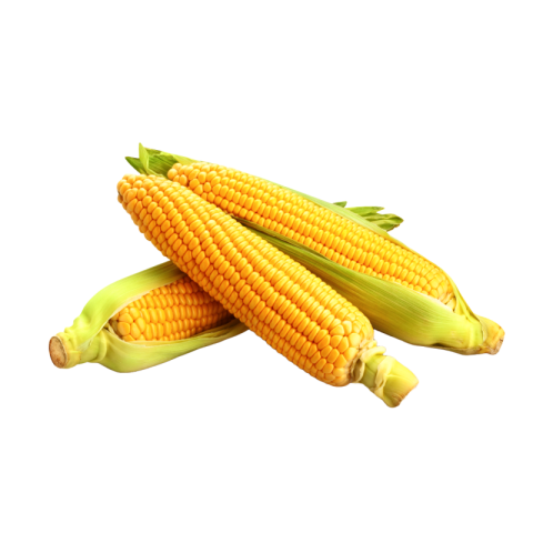 Transparent background corn png
