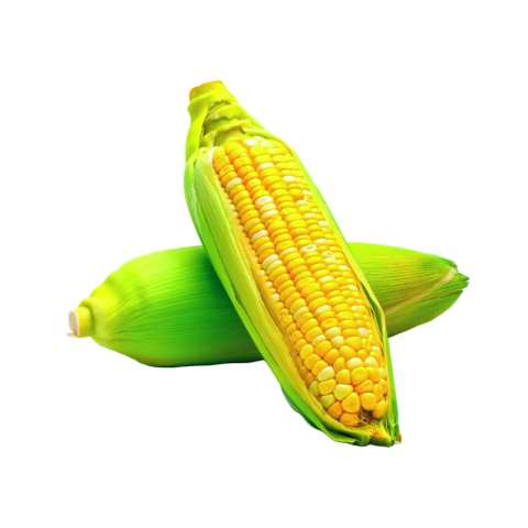 Corn png images