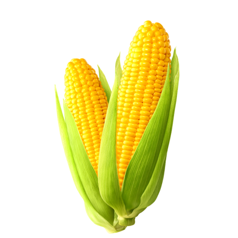 Corn png transparent free download