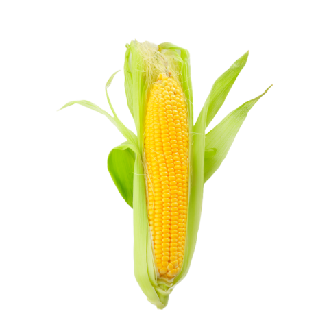 Corn png images download