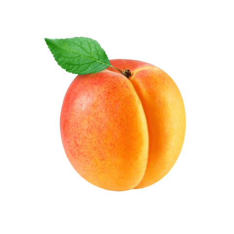 Apricot png transparent