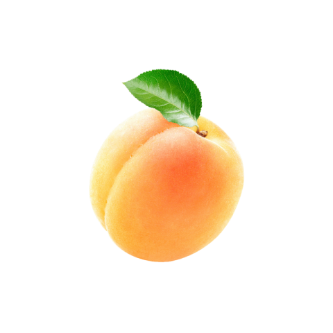 Apricot fruit png free