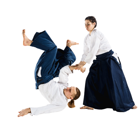 Aikido png