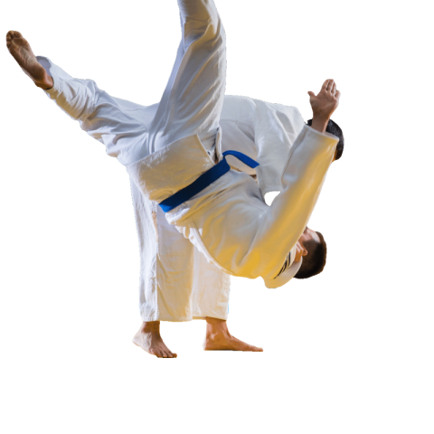 Aikido png transparent