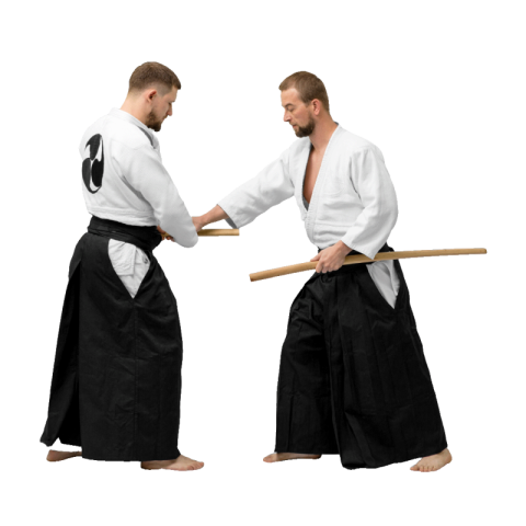 Aikido png background
