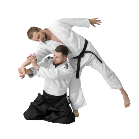 Aikido png download