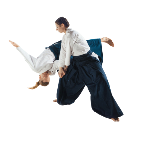 Aikido png transparent