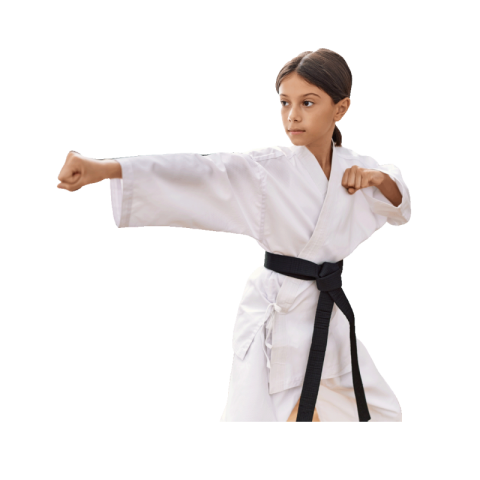 Aikido png transparent free