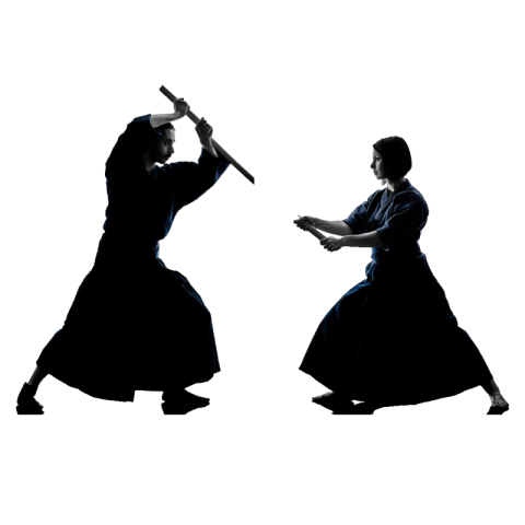 Aikido png transparent download