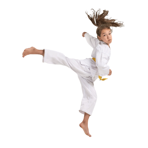 Aikido png transparent free download