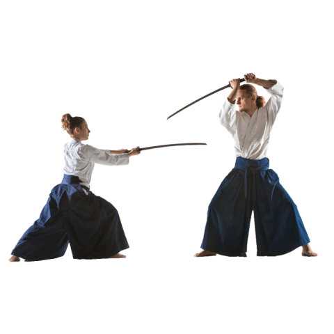 Aikido png transparent image