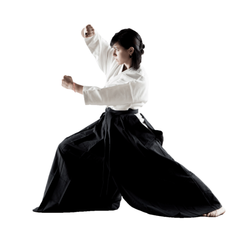 Aikido PNG transparent image download
