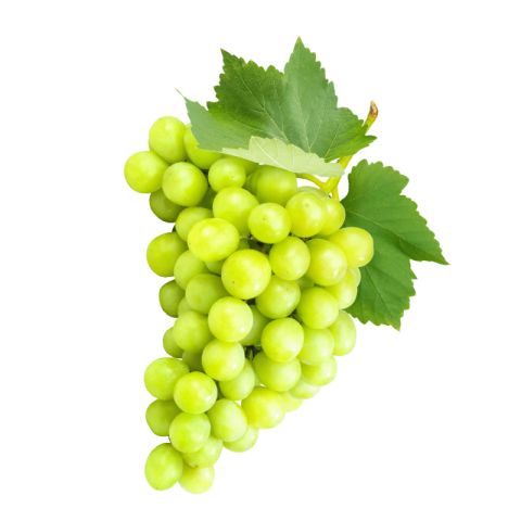 Green grapes png free