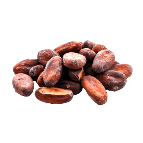 Cacao png transparent