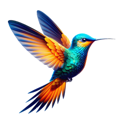 Hummingbird PNG image with transparent background