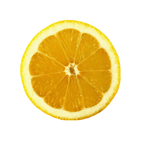 Lemon slice png transparent