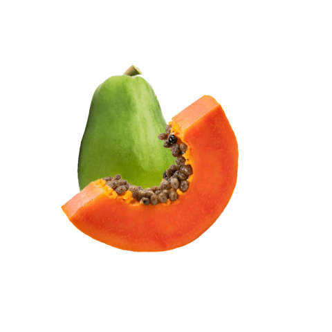 Papaya png images