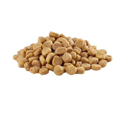 Dog food png transparent