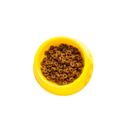 Dog food png transparent image