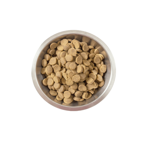 Dog food PNG transparent image download