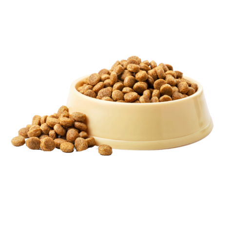 Dog Food Png Images free download