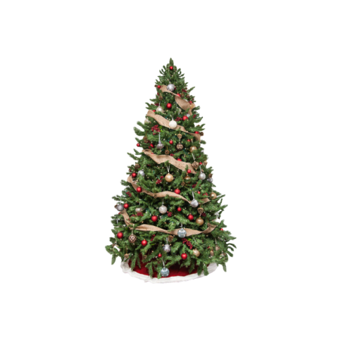 Christmas tree png free