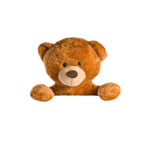 Teddy bear png