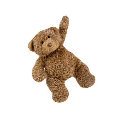 Teddy bear png transparent