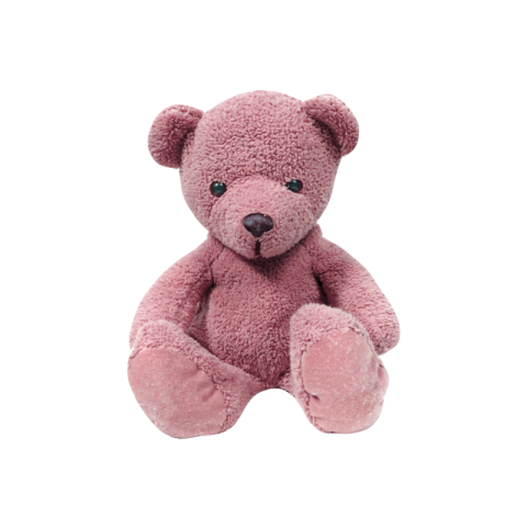 Cute teddy bear png