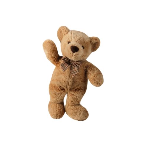 Transparent teddy bear png