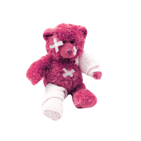 Teddy bear png download