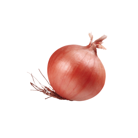 Onion png