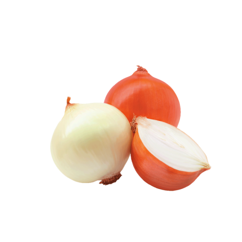 Onion png transparent background