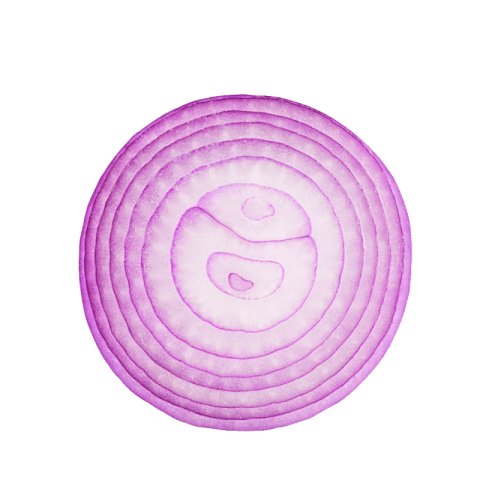 Onion rings png