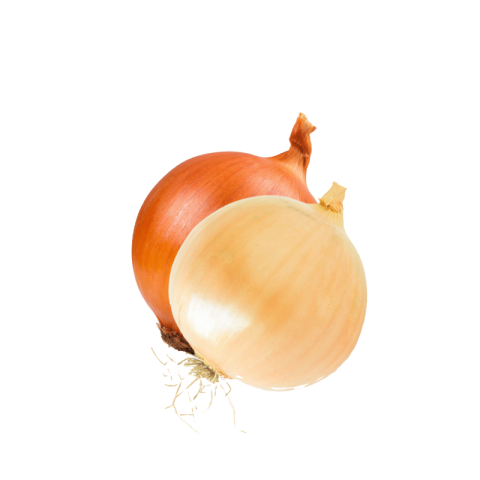 Onion png pic