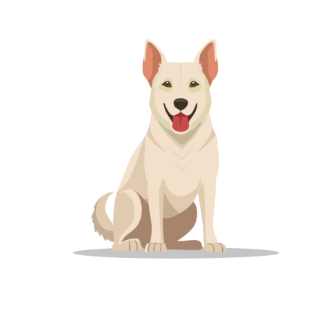 Dog png hd