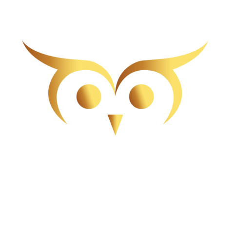 Owl Png Image