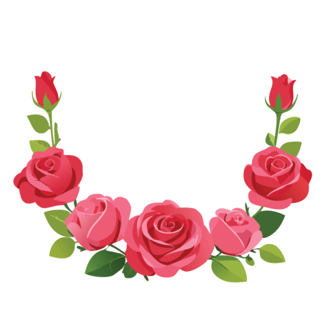 Vector Rose Png